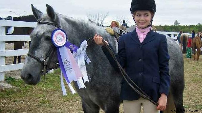 15 Proven Tips to Simplify Life for Horse Riders and Equestrians