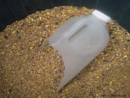 15 Proven Tips to Simplify Life for Horse Riders and Equestrians