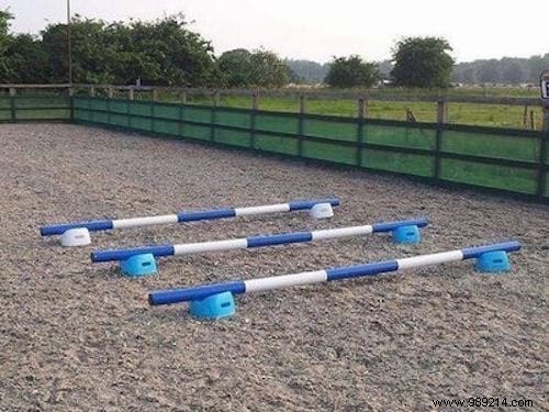 15 Proven Tips to Simplify Life for Horse Riders and Equestrians