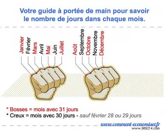 The Knuckle Trick: Instantly Recall Days in Every Month