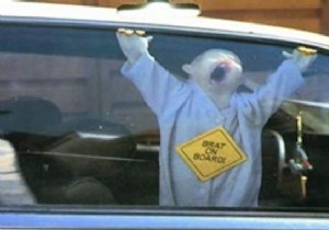 Protect Your Kids from Car Window Pinches: Simple Pool Noodle DIY Hack