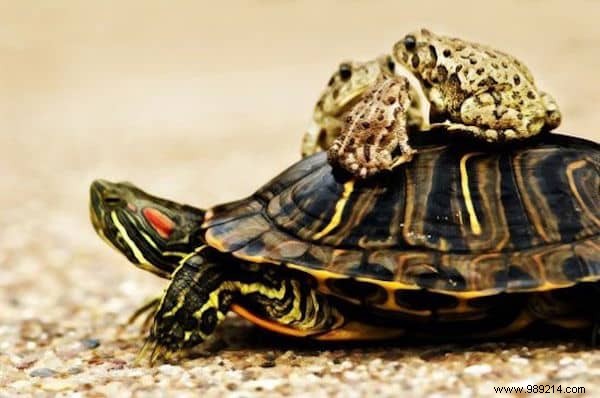 9 Common Airport Commute Nightmares Every Paris Traveler Knows Too Well