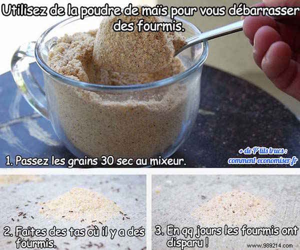 Top 25 Most Popular Life Hacks from 2015: Reader Favorites That Stood the Test of Time