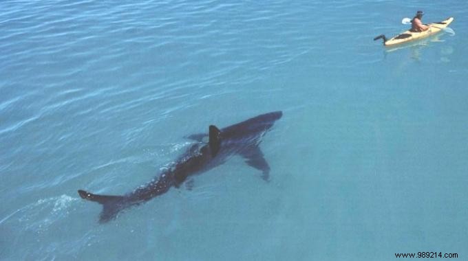 22 Proven Summer Tips: Beach Hacks, Picnic Essentials, Camping Tricks & Home Remedies