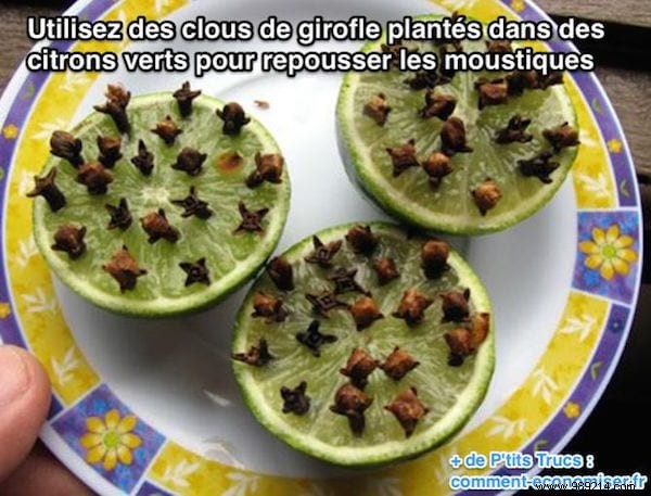 22 Proven Summer Tips: Beach Hacks, Picnic Essentials, Camping Tricks & Home Remedies