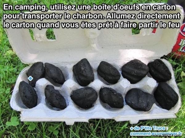 22 Proven Summer Tips: Beach Hacks, Picnic Essentials, Camping Tricks & Home Remedies