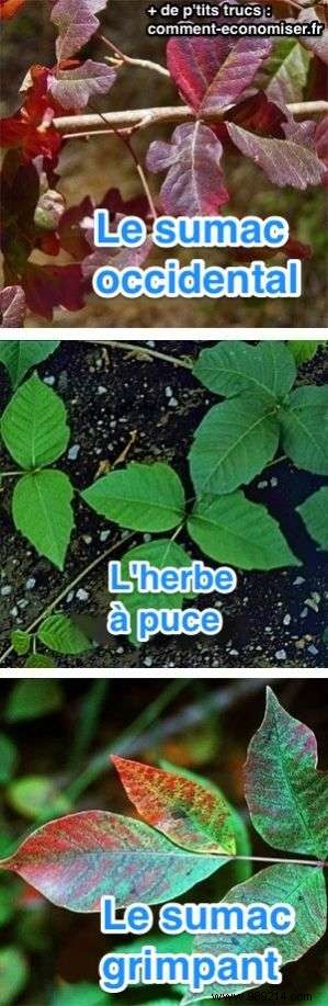 31 Proven Camping Hacks from Seasoned Outdoors Enthusiasts