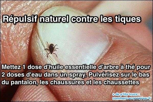 31 Proven Camping Hacks from Seasoned Outdoors Enthusiasts