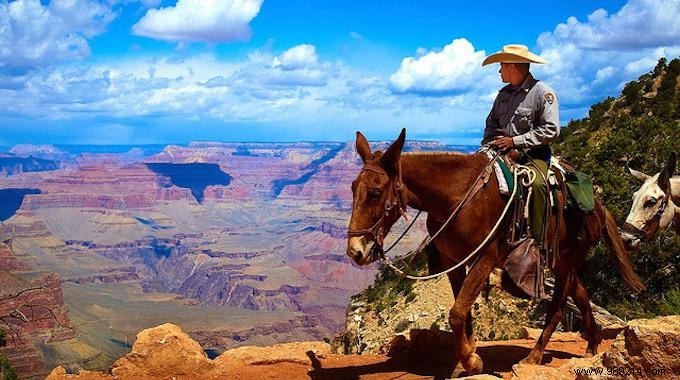 Explore 15 Iconic Landmarks Virtually for Free on Google Maps