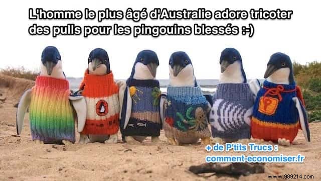 Alfred Alfie Date: Australia s Oldest Man Who Knitted Tiny Sweaters to Save Penguins from Oil Spills