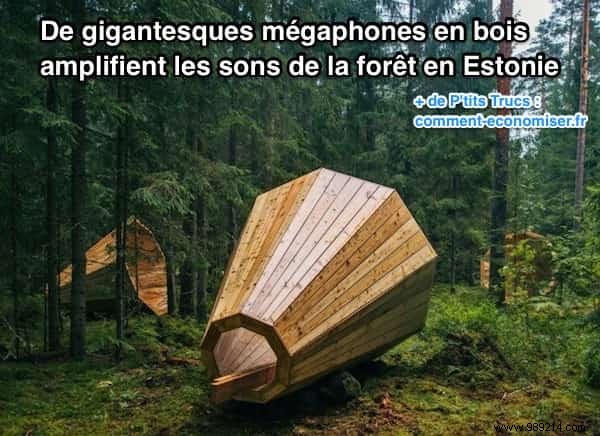 Giant Wooden Megaphones Amplify Estonia s Forest Sounds at Pähni Nature Center