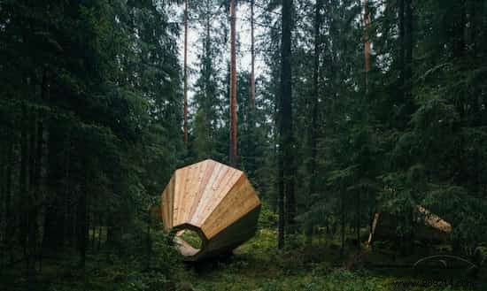 Giant Wooden Megaphones Amplify Estonia s Forest Sounds at Pähni Nature Center