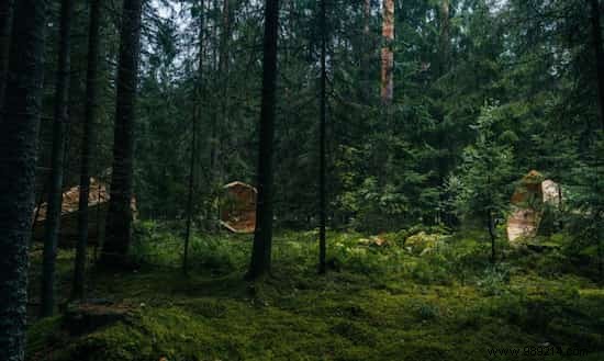 Giant Wooden Megaphones Amplify Estonia s Forest Sounds at Pähni Nature Center