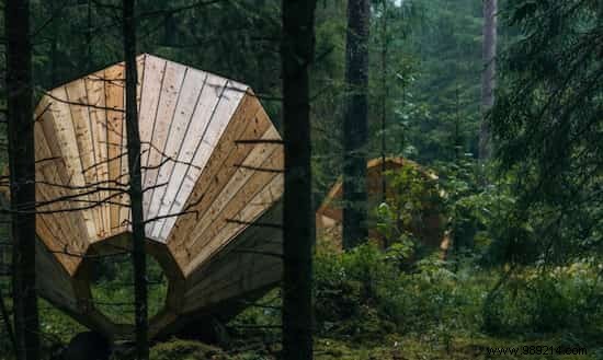 Giant Wooden Megaphones Amplify Estonia s Forest Sounds at Pähni Nature Center