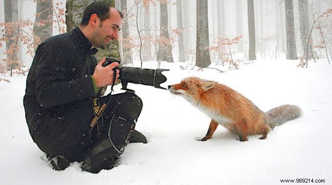 20 Stunning Wildlife Photos Proving It s the Best Job in the World