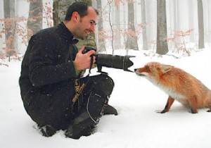 20 Stunning Wildlife Photos Proving It s the Best Job in the World