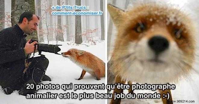 20 Stunning Wildlife Photos Proving It s the Best Job in the World