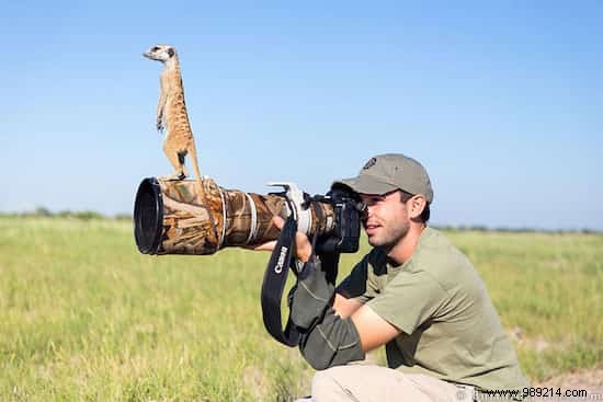 20 Stunning Wildlife Photos Proving It s the Best Job in the World