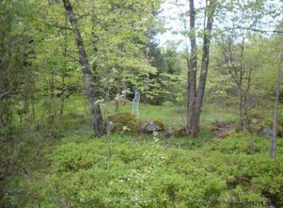 DIY Life-Size Chicken Wire Ghost: Easy Halloween Scare Prop