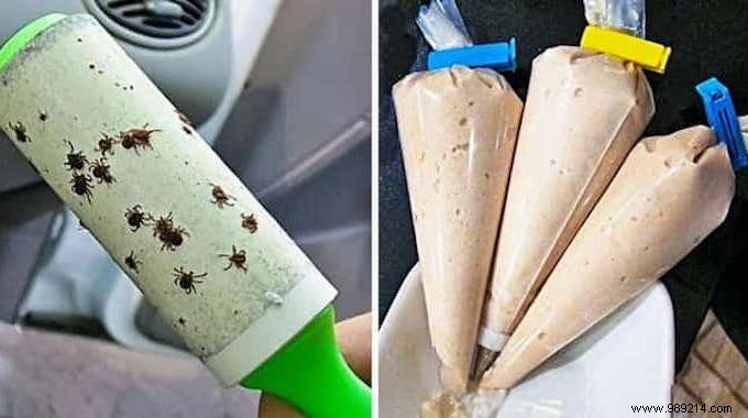 14 Essential Camping Hacks from a Seasoned Camper: #11 is a Must-Know