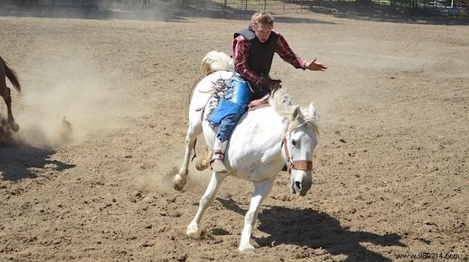 8 Proven Tips to Safely Control a Runaway Horse from a Lifelong Rider