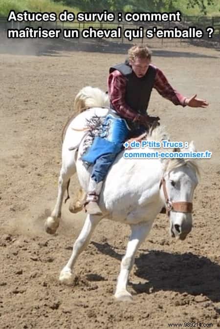 8 Proven Tips to Safely Control a Runaway Horse from a Lifelong Rider