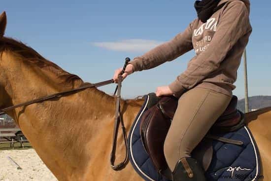8 Proven Tips to Safely Control a Runaway Horse from a Lifelong Rider