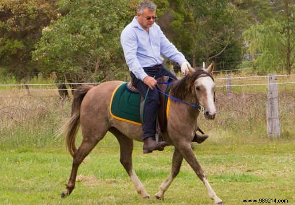 8 Proven Tips to Safely Control a Runaway Horse from a Lifelong Rider