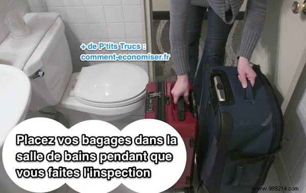 How to Spot Bed Bugs in Your Hotel Room: Expert Inspection Guide