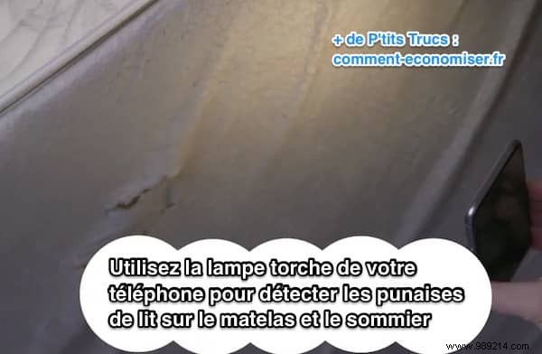 How to Spot Bed Bugs in Your Hotel Room: Expert Inspection Guide