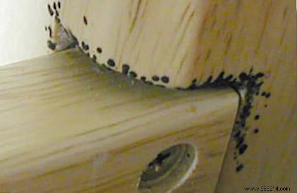 How to Spot Bed Bugs in Your Hotel Room: Expert Inspection Guide