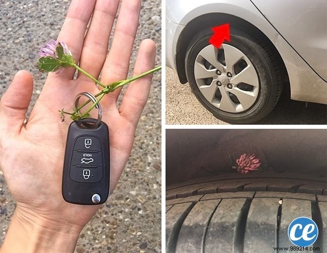 12 Proven Beach Hacks from Seasoned Travelers to Simplify Your Day