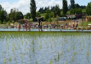 Belgium s First Organic Municipal Swimming Pool Debuts in Dour – Natural, Chemical-Free Filtration