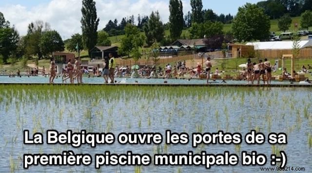 Belgium s First Organic Municipal Swimming Pool Debuts in Dour – Natural, Chemical-Free Filtration