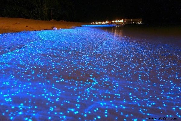 29 Surreal Landscapes on Earth That Resemble Alien Worlds