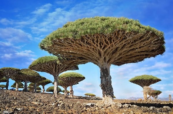 29 Surreal Landscapes on Earth That Resemble Alien Worlds