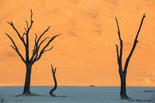 29 Surreal Landscapes on Earth That Resemble Alien Worlds