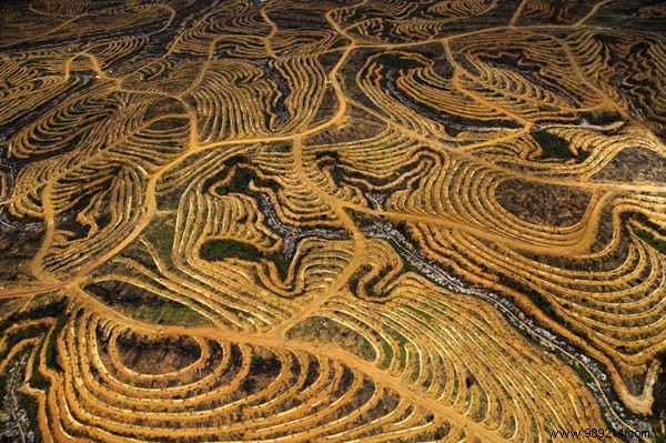 35 Breathtaking Aerial Landscapes by Renowned Photographer Yann Arthus-Bertrand