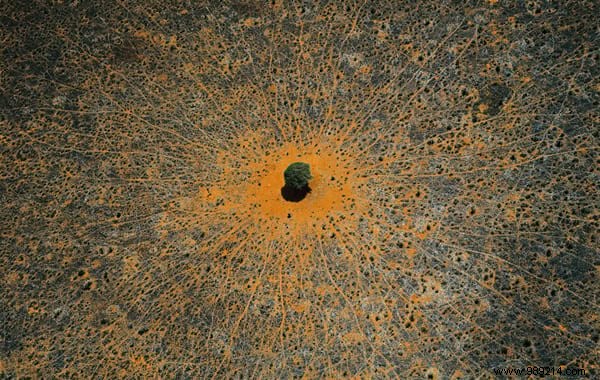 35 Breathtaking Aerial Landscapes by Renowned Photographer Yann Arthus-Bertrand