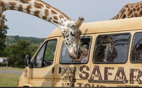 30 Must-See Bucket-List Destinations Around the World