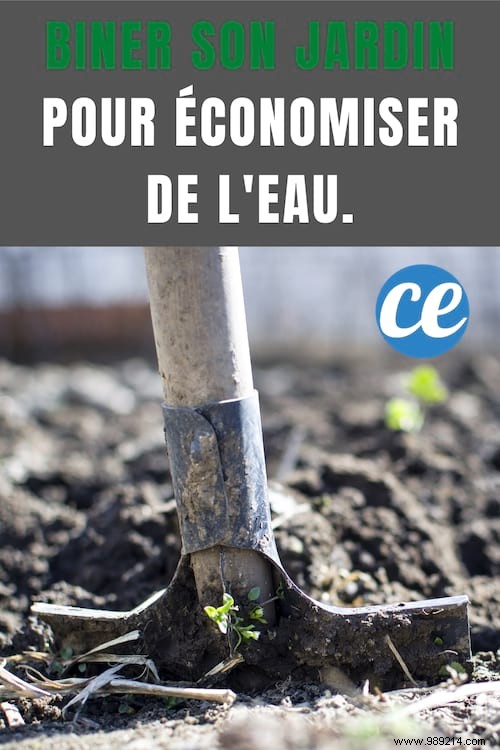 Hoe Your Garden to Halve Water Use: A Proven Gardening Tip