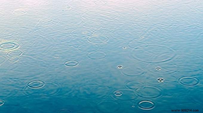 Install a Rainwater Collector: Simple Way to Save Water and Money at Home