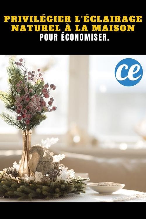 Maximize Natural Light at Home: Slash Electricity Bills by 15% with Simple Habits