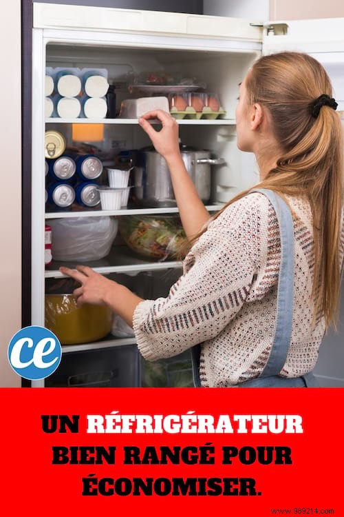 Organize Your Fridge Like a Pro: Cut Energy Costs and Save Money