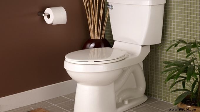 Upgrade to Dual-Flush Toilets: Save Water and Lower Bills Effortlessly