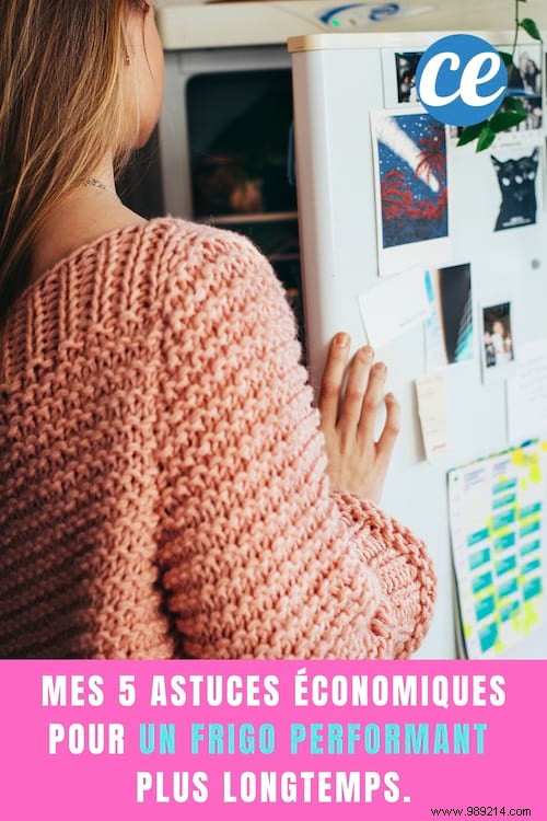 5 Proven Tips to Extend Your Fridge s Life and Slash Energy Costs