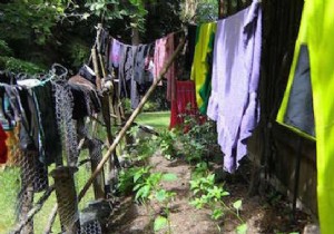 Water Your Garden While Drying Laundry: A Proven Water-Saving Hack