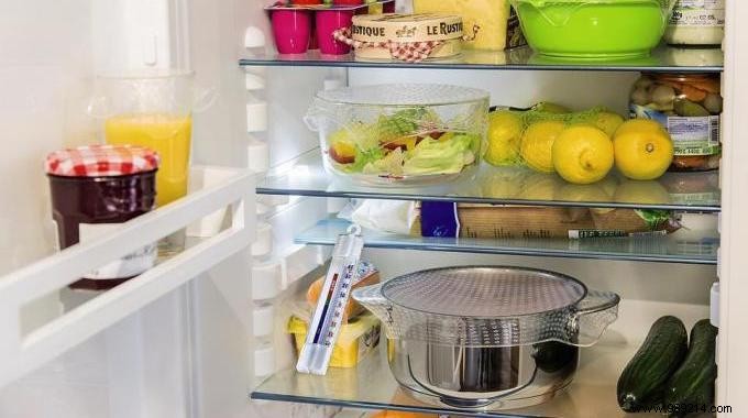 Save Electricity: How to Check and Optimize Your Refrigerator s Internal Temperature