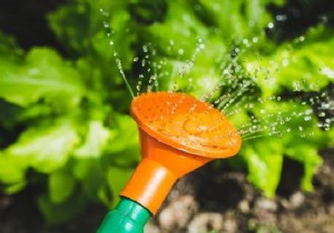 5 Proven Tips to Water Your Garden Less Often and Save Big on Water
