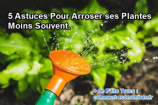 5 Proven Tips to Water Your Garden Less Often and Save Big on Water